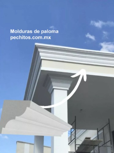 molduras para techo